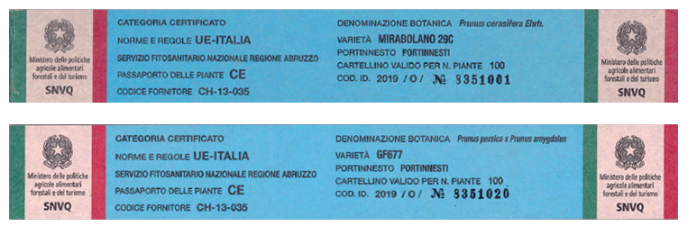 Certificati per piante Virus Esenti